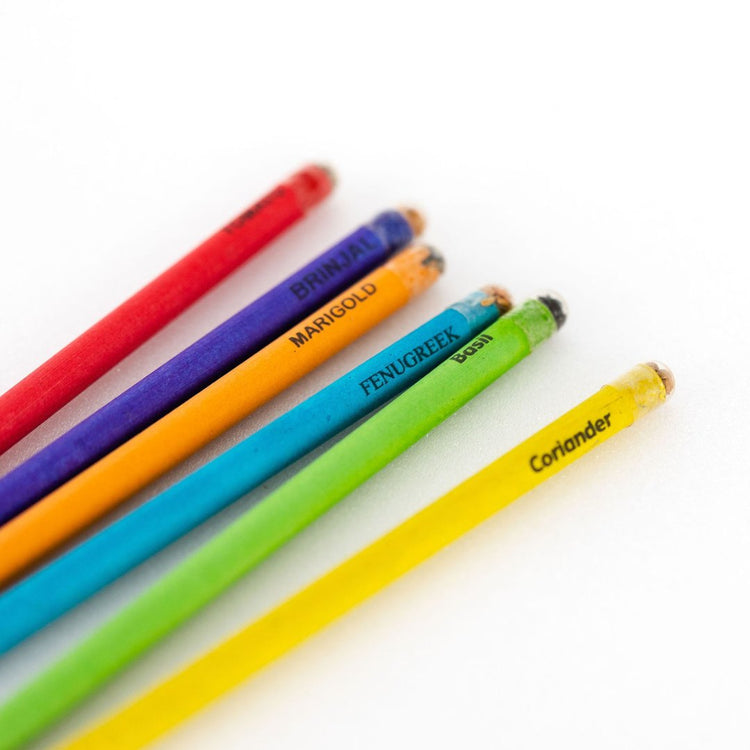 Plantable Pencils Set with cherry tomato, chilly & Basil