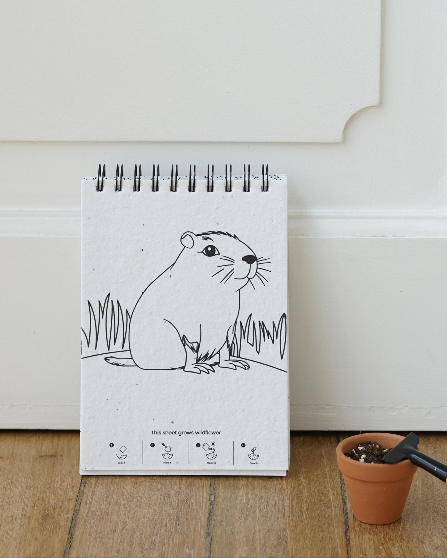 Plantable Colouring Book - Zoo Edition