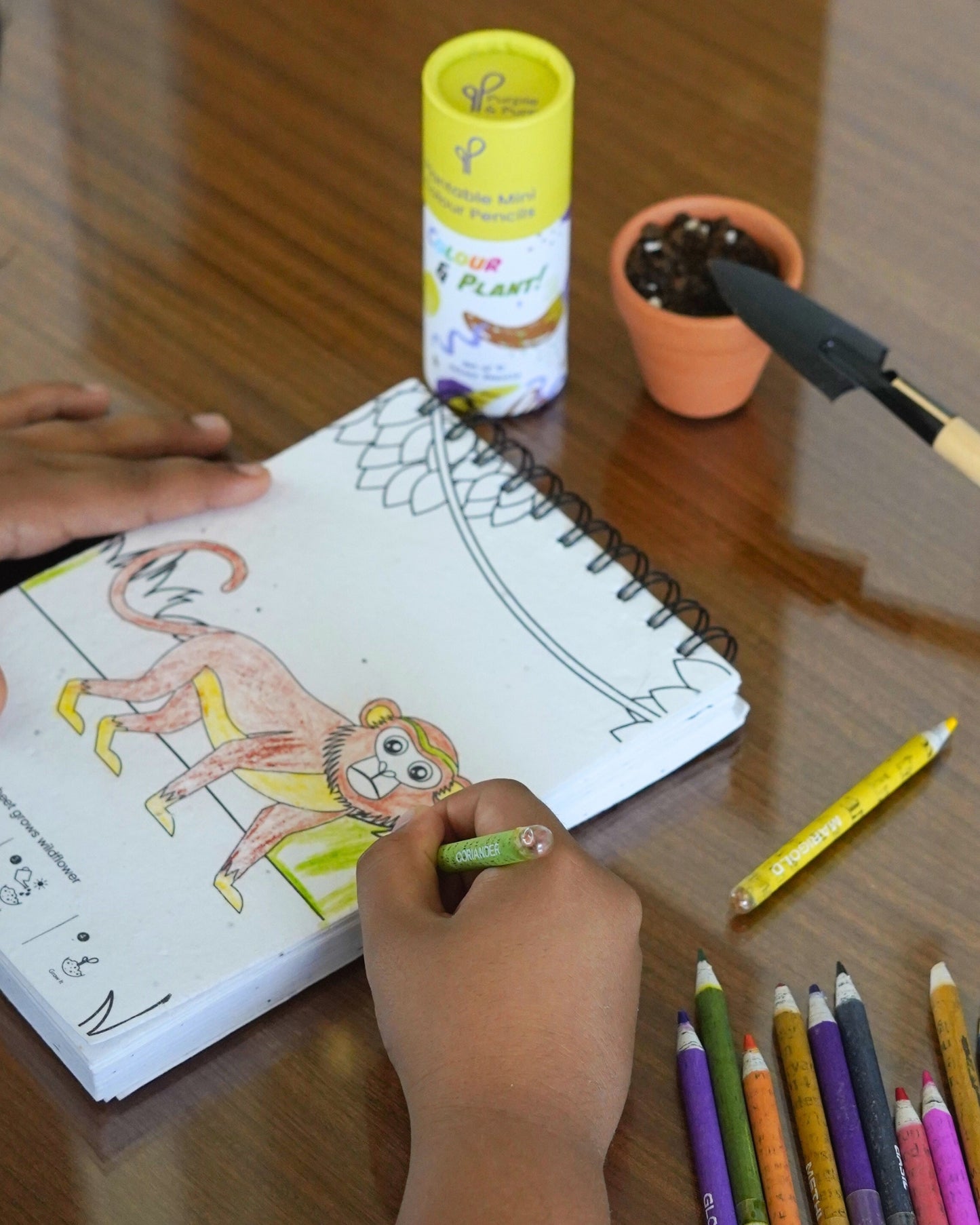 Plantable Colouring Book - Zoo Edition