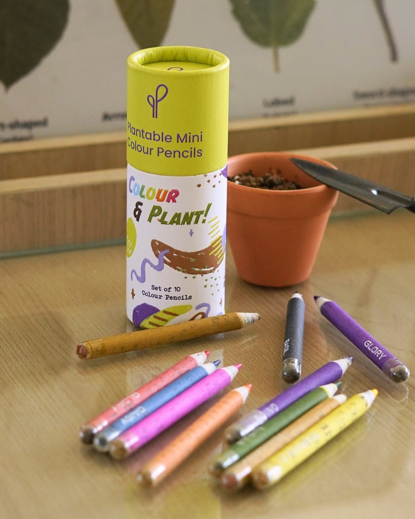 Plantable Seed Mini Coloured Pencils (Set of 10)
