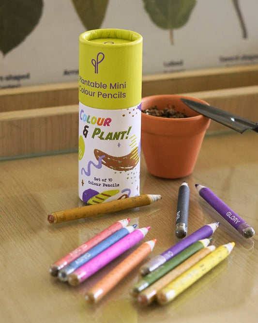 Plantable Seed Mini Coloured Pencils (Set of 10)