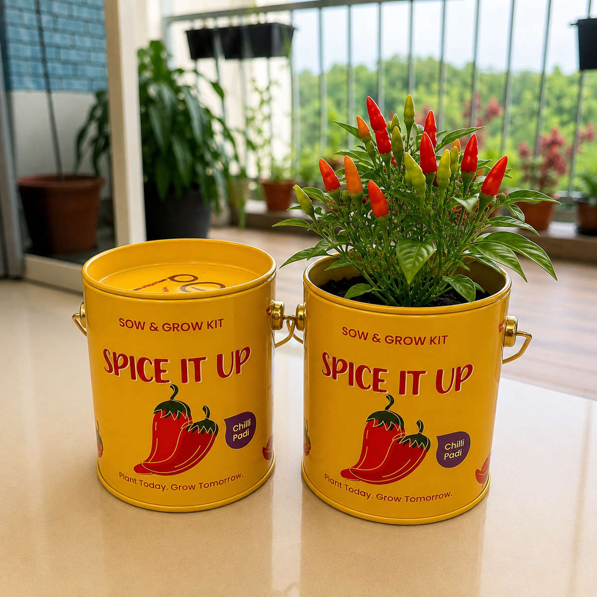 Sow & Grow Kit (Mini) - Chilli Padi