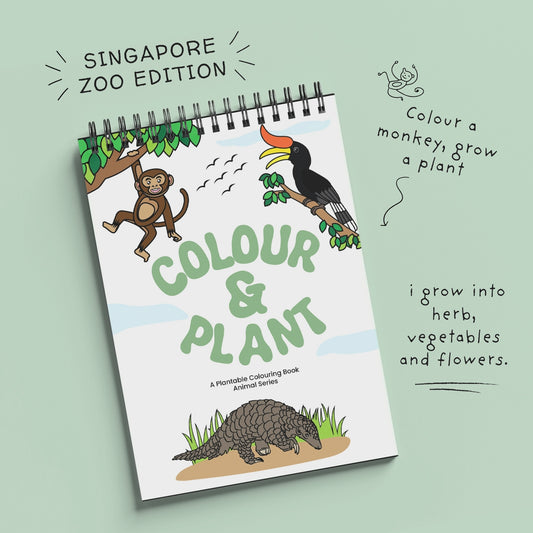 Planatble Colouring Gift Set