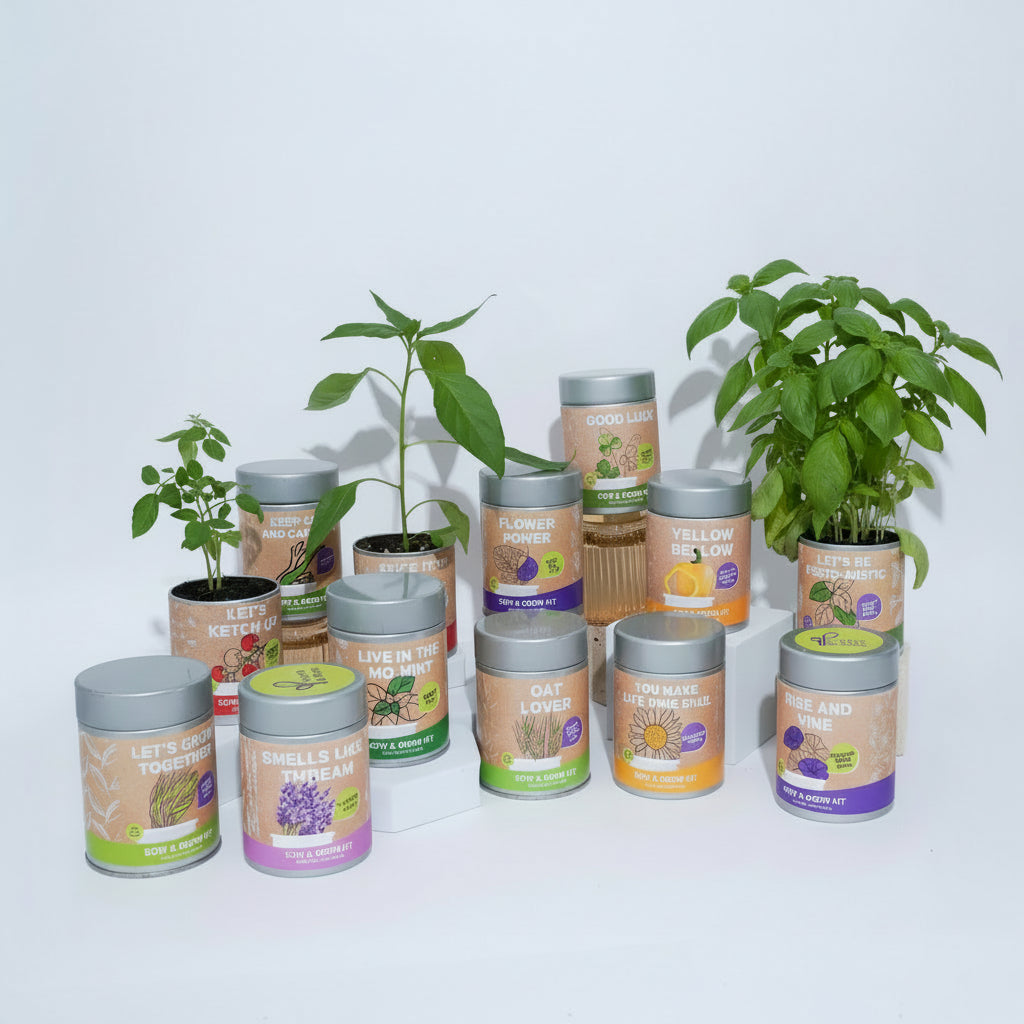 Sow & Grow Kit (Mini) - Kang Kong