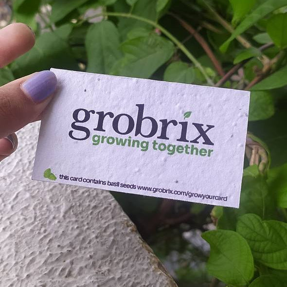 Grobrix x Purple & Pure: Sustainable Business Cards Collaboration