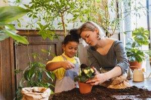 PLANT PARENTHOOD: TIPS AND TRICKS FOR PLANT PARENTS