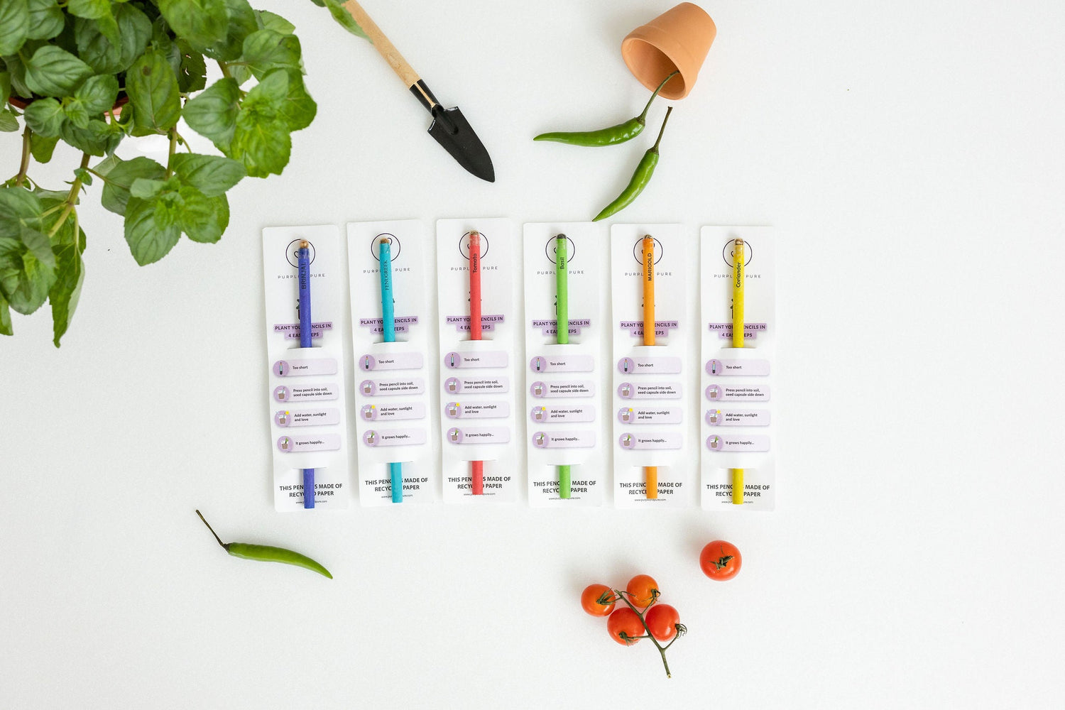 Plantable Pencils Set with cherry tomato, chilly & Basil