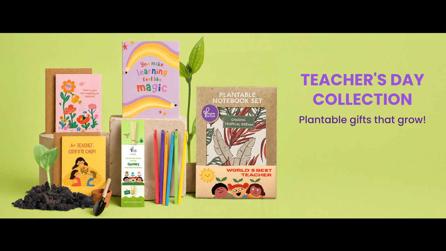 Eco-Friendly Gifts for Teachers