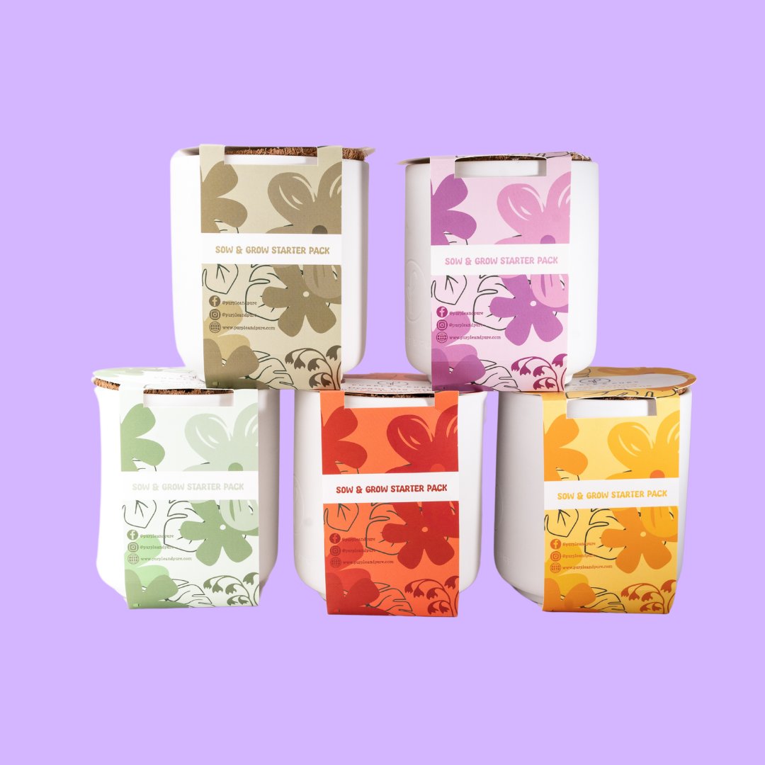 Collection of Sow & Grow Kits featuring eco-friendly plant growing kits for herbs and vegetables, including mint, cherry tomato, oregano, yellow capsicum, and lavender.