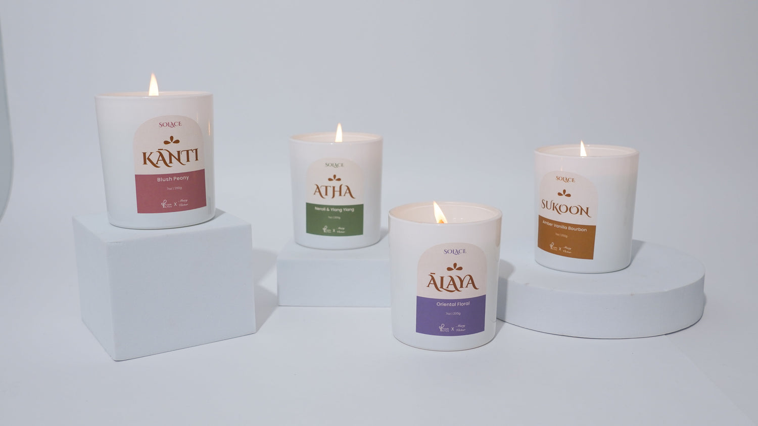 Bllom candle cermaic planter with the purslane leaves art 