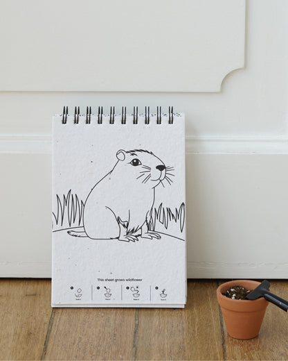 Plantable Colouring Book - Zoo Edition