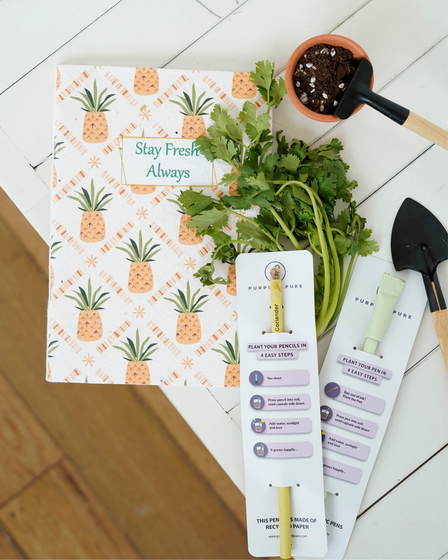 Plantable Notebook Set - Pineapple Pop