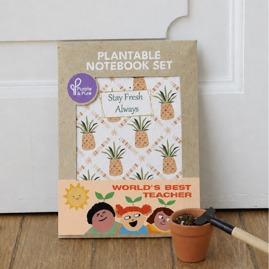 Plantable Notebook Set (Best Teacher's Day gifts in Singapore)
