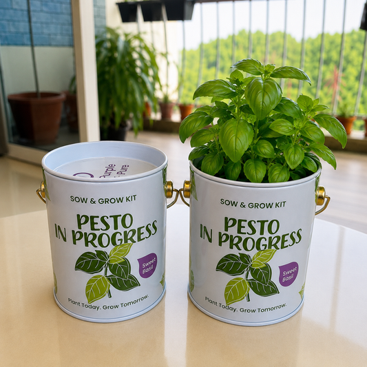 Sow & Grow Kit (Mini) - Basil