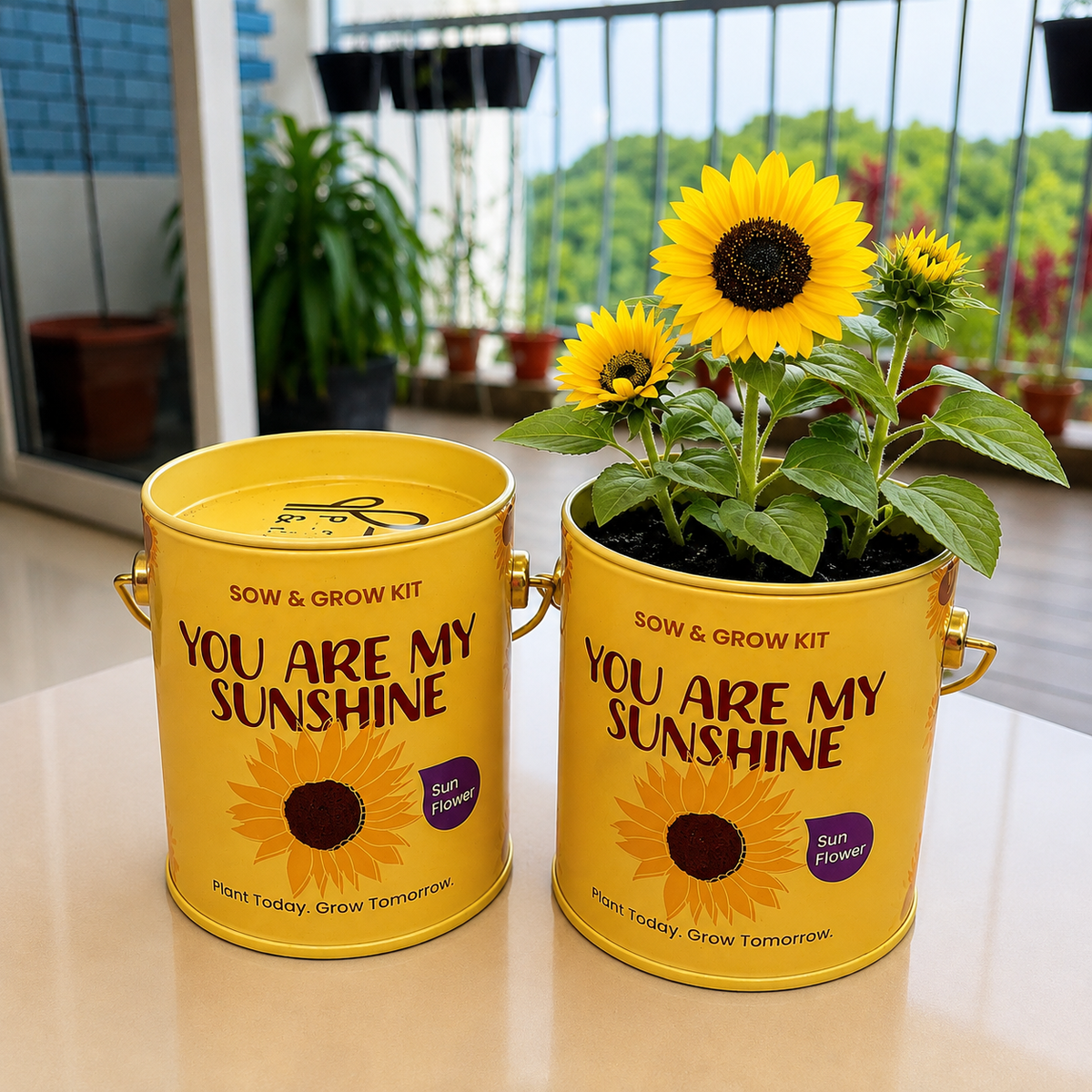 Sow & Grow Kit (Mini) - Sunflower