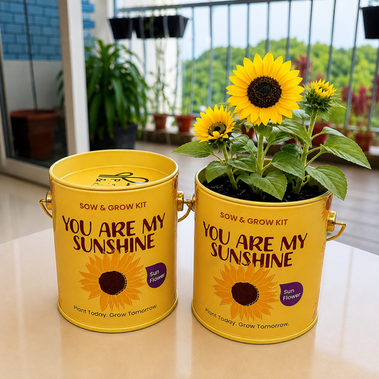 Sow & Grow Kit (Mini) - Sunflower