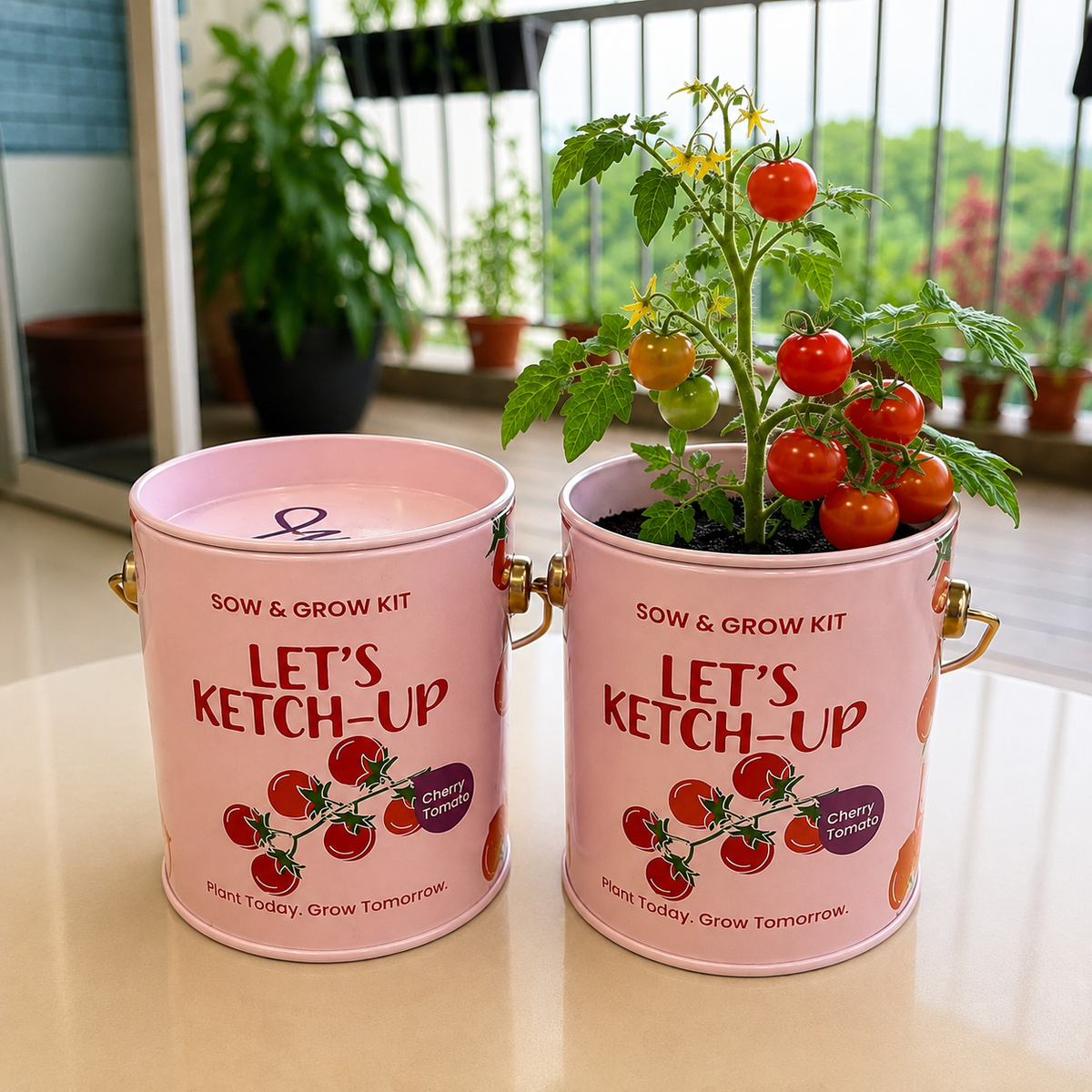 Sow & Grow Kit (Mini) - Cherry Tomato