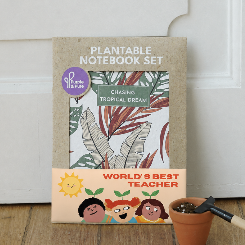Plantable Notebook Set (Best Teacher's Day gifts in Singapore)