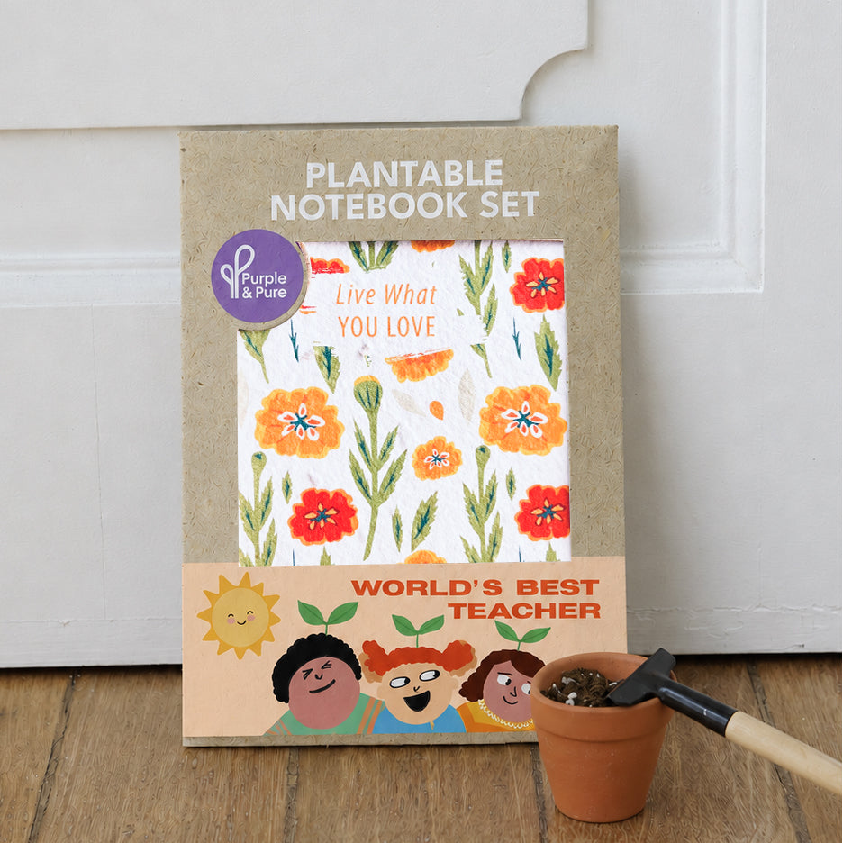 Plantable Notebook Set (Best Teacher's Day gifts in Singapore)
