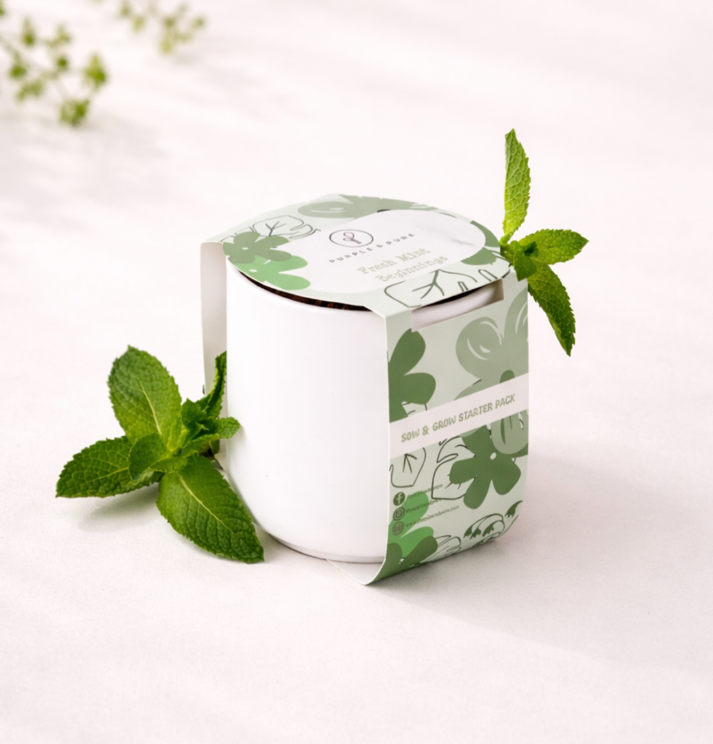 Sow & Grow Starter Kit - Mint