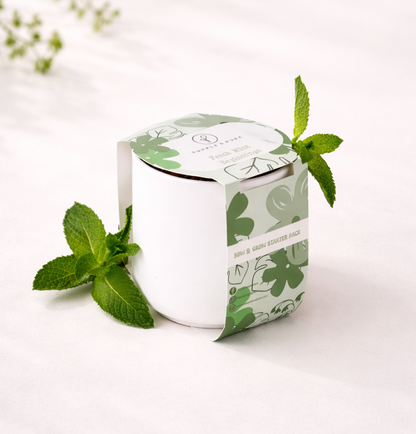 Sow & Grow Starter Kit - Mint