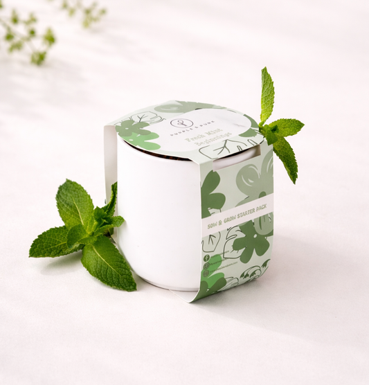 Sow & Grow Starter Kit - Mint