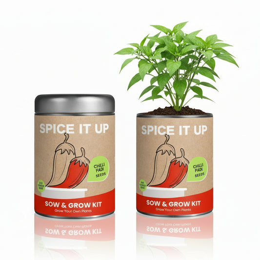 Sow & Grow Kit (Mini) - Chilli Padi