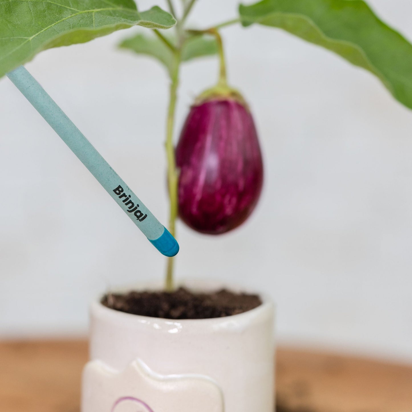 Plantable Seed Pens – Brinjal