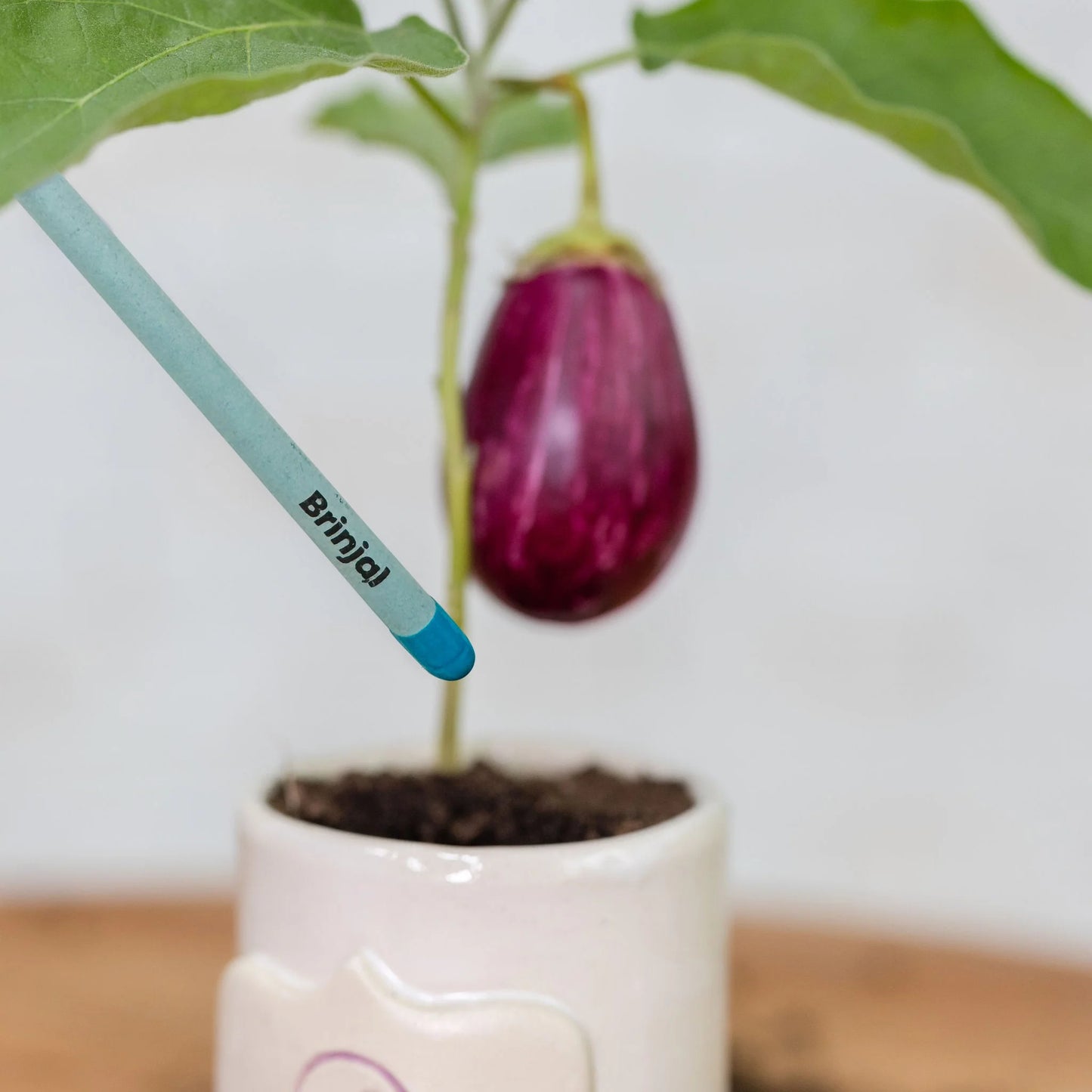 Plantable Seed Pens - Teachers Day