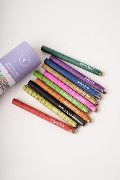 Plantable Color Pencils