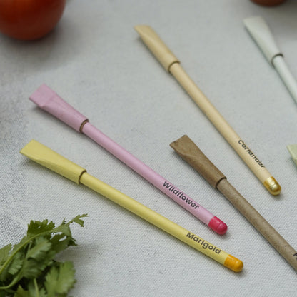 Plantable Seed Pens – Coriander