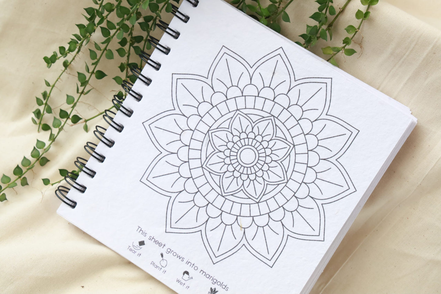 purple & pure plantable mandala colouring gift set, plantable gifts