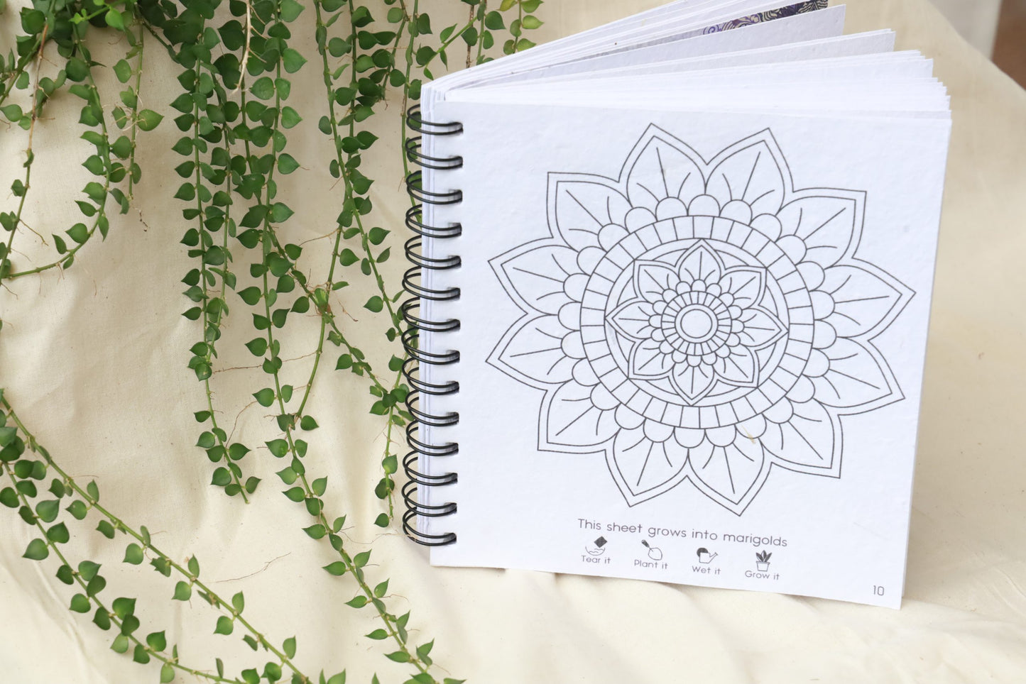 purple & pure plantable mandala colouring gift set, plantable gifts