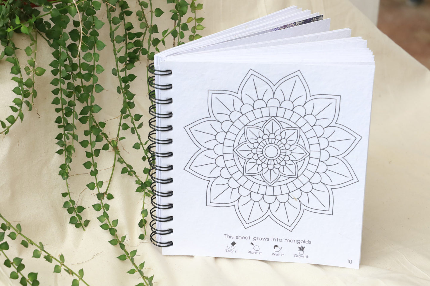 purple & pure plantable mandala colouring gift set, plantable gifts