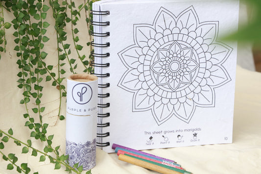 Plantable Mandala Colouring Gift Set