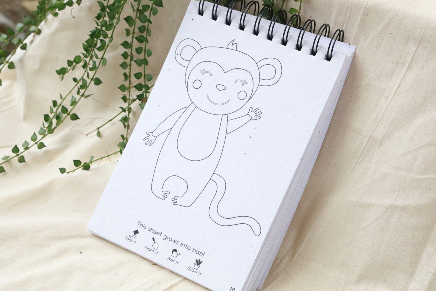 a monkey drawing on plantable colouring book for kids plantable gifts