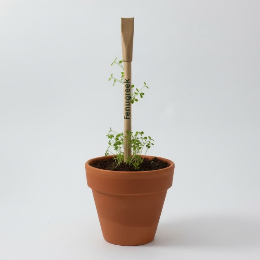 Plantable Seed Pens - Teachers Day