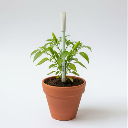 Plantable Seed Pens - Teachers Day