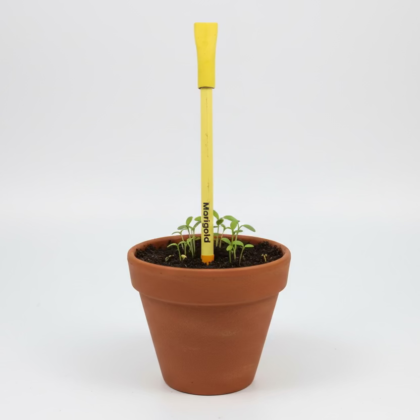 Plantable Seed Pens - Teachers Day