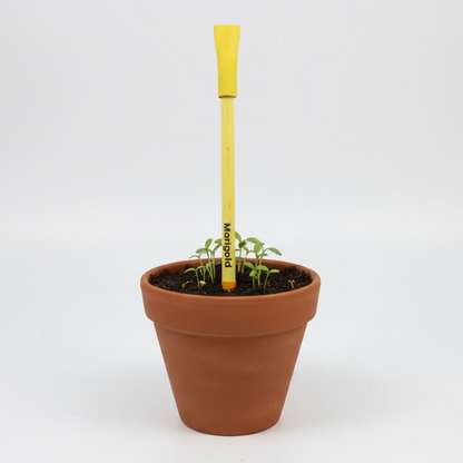 Plantable Seed Pens - Teachers Day