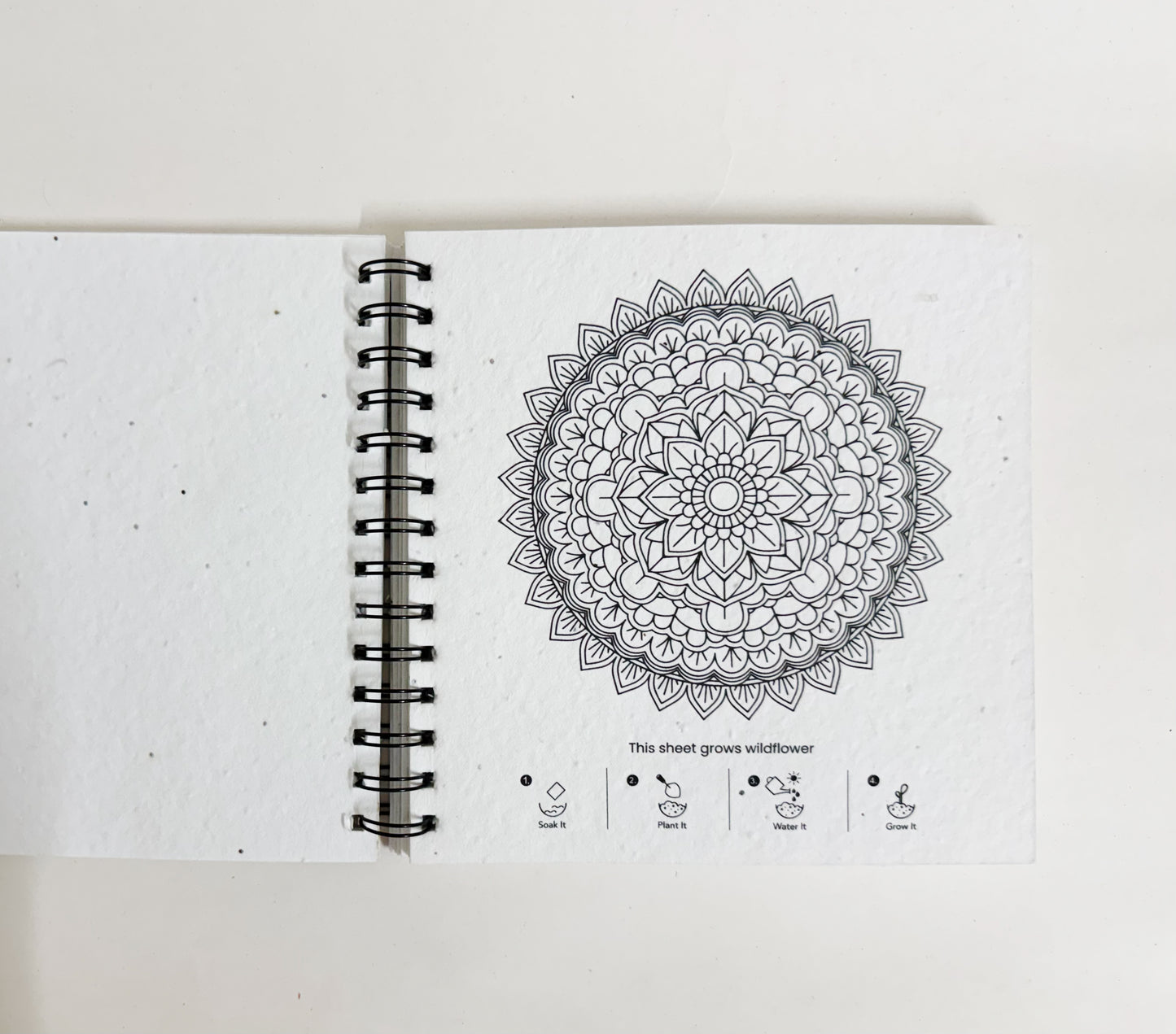 Plantable Mandala Colouring Book