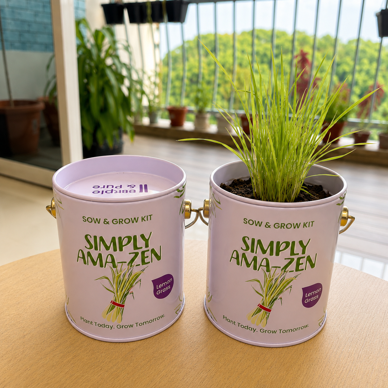 Sow & Grow Kit (Mini) - Lemongrass