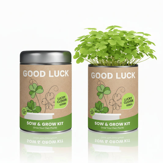 Sow & Grow Kit (Mini) -Lucky Clover