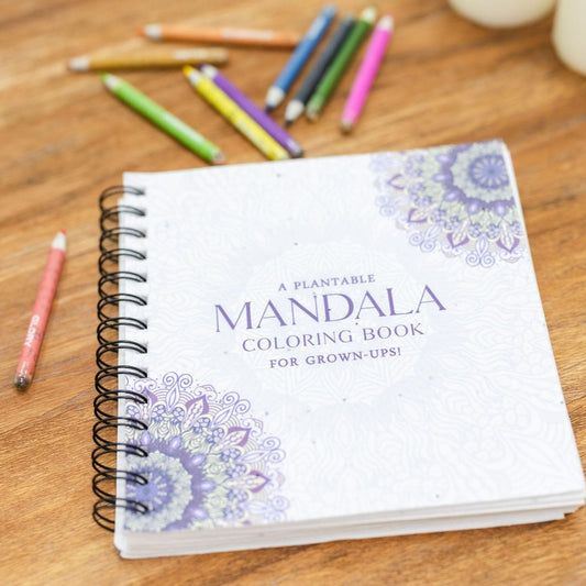 Mandala Colour Book