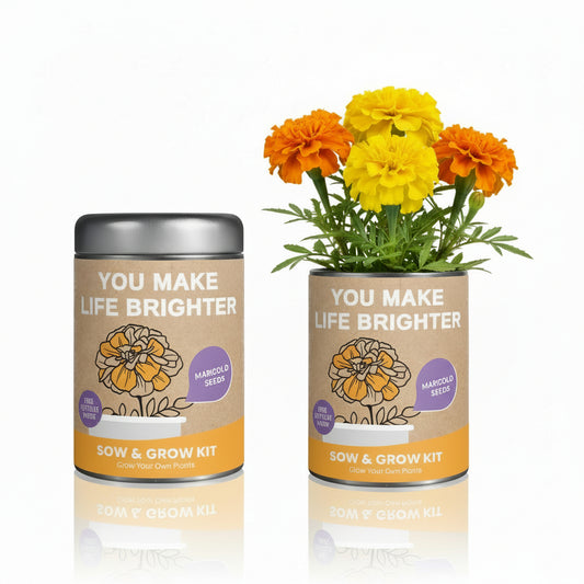 Sow & Grow Kit (Mini) - Marigold