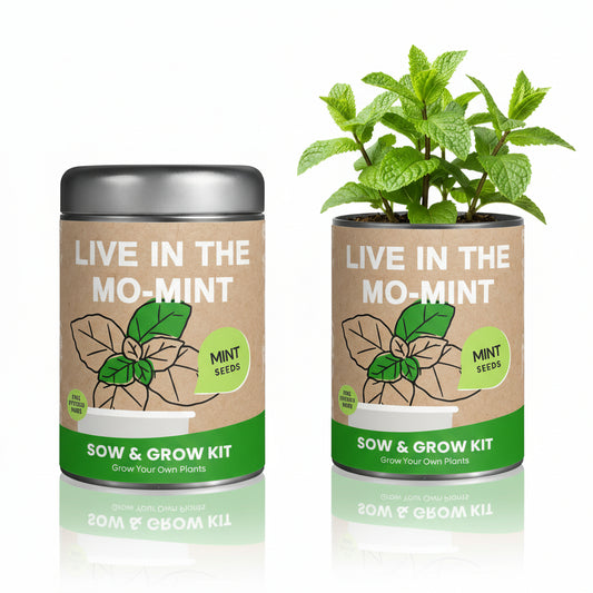 Sow & Grow Kit (Mini) - Mint