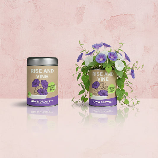 Sow & Grow Kit (Mini) - Morning Glory