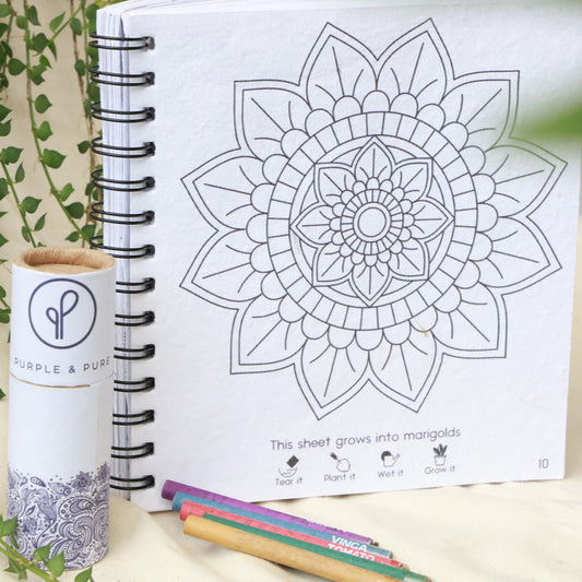 Plantable Mandala Colouring Gift Set