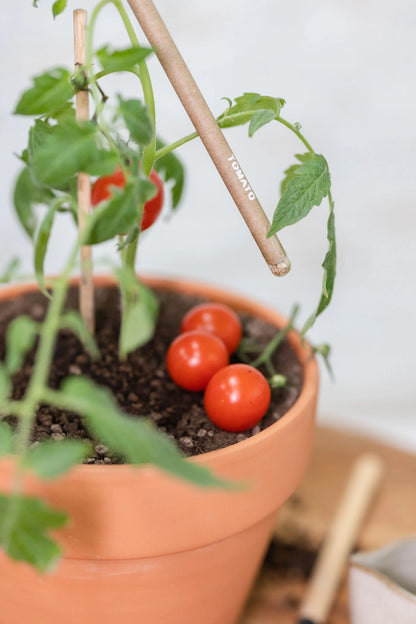 Plantable Seed Pens - Teachers Day