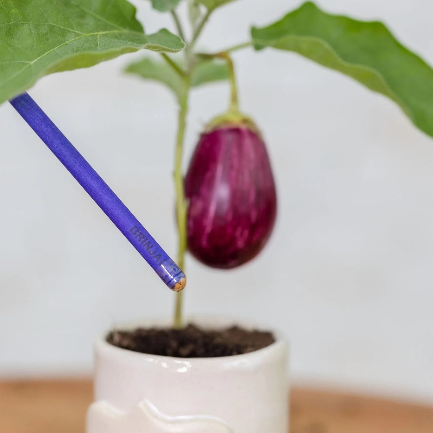 Plantable Seed Pencils - Teachers Day